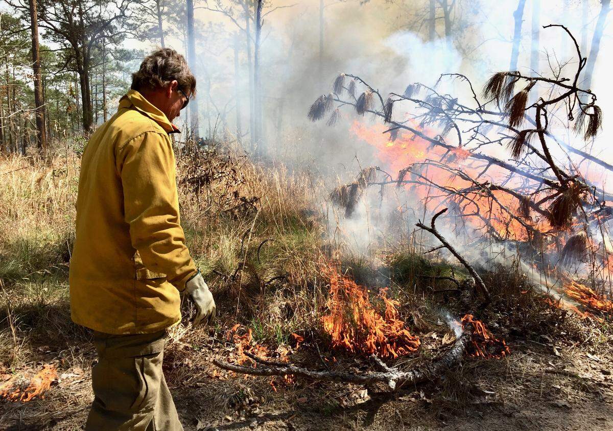 Mark Melvin, forest manager at the Joseph W. Jones Center at Ichauway Plantation in southwest Georgia, scorches 100 acres of woods during a prescribed burn at an ecological research center on March 6, 2019.