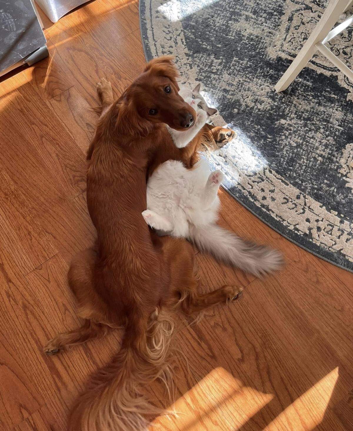Seymour and his best friend, Kimber.