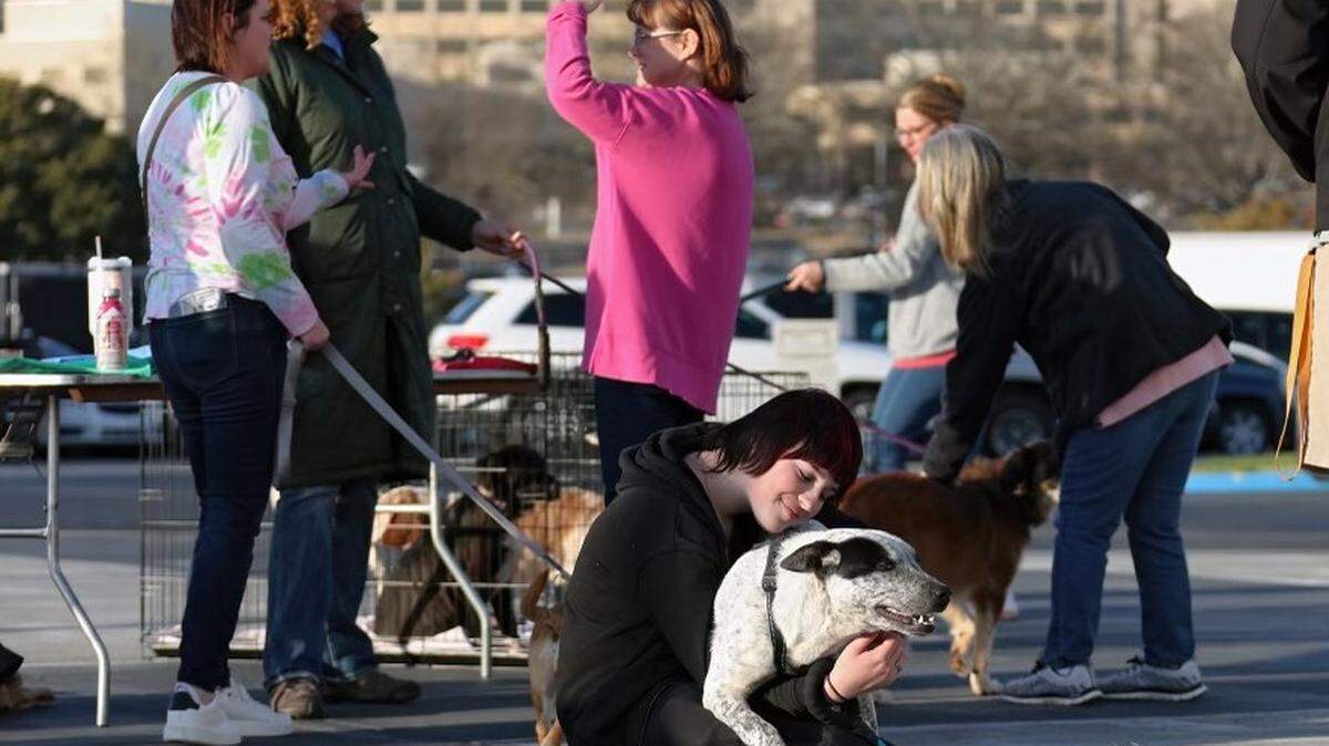 All About Animals 15th annual Rescue Run will take place at 8 a.m. on Saturday at Mt. Zion Baptist Church on Rivoli Road.