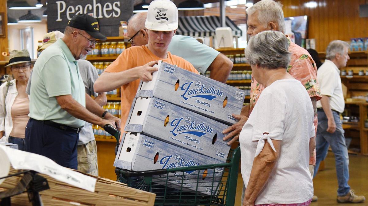 Lane Southern Orchards employee Brooks Lawless places boxes of peaches in a cart at Lane Southern Orchards on Thursday, July 18, 2024, in Fort Valley, Georgia. Lane Southern Orchards serves 300,000 visitors a year with peaches as the roadside stop’s main attraction.