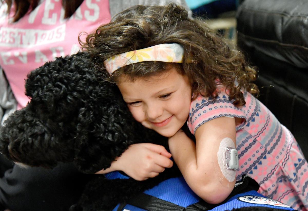 JASON VORHEES/THE TELEGRAPH Warner Robins, GA, 01/08/2020: Dylan Cochran, 5, hugs Benny, her diabetic alert dog at her family’s home in Warner Robins January 8, 2020. Dylan was diagnosed with type 1 diabetes at age 3.