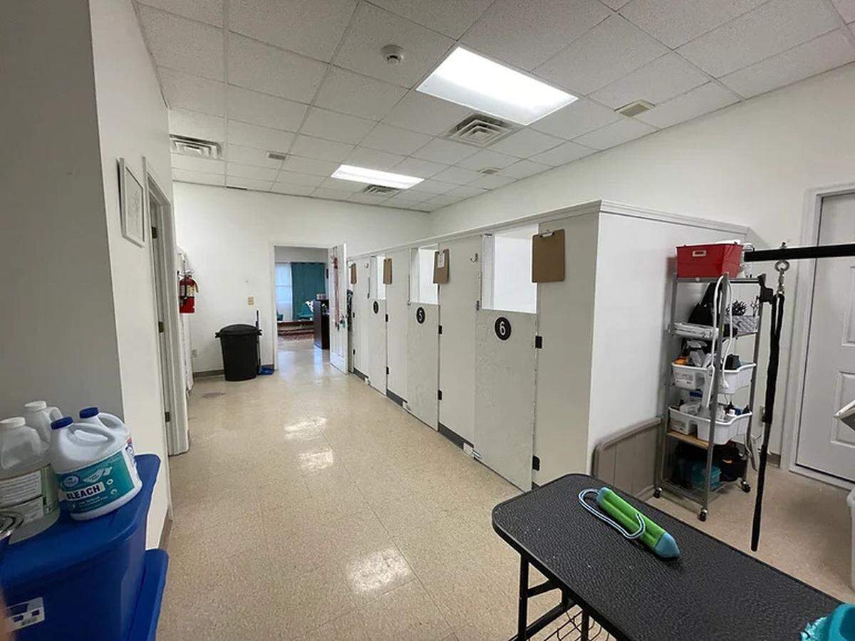Entrepreneur Terri Marion wants to bring The Wagsworth Hotel that she owned and operated in south Bibb County from June 2021 to November 2023 to downtown Macon. The setup would be similar to the former location shown here.
