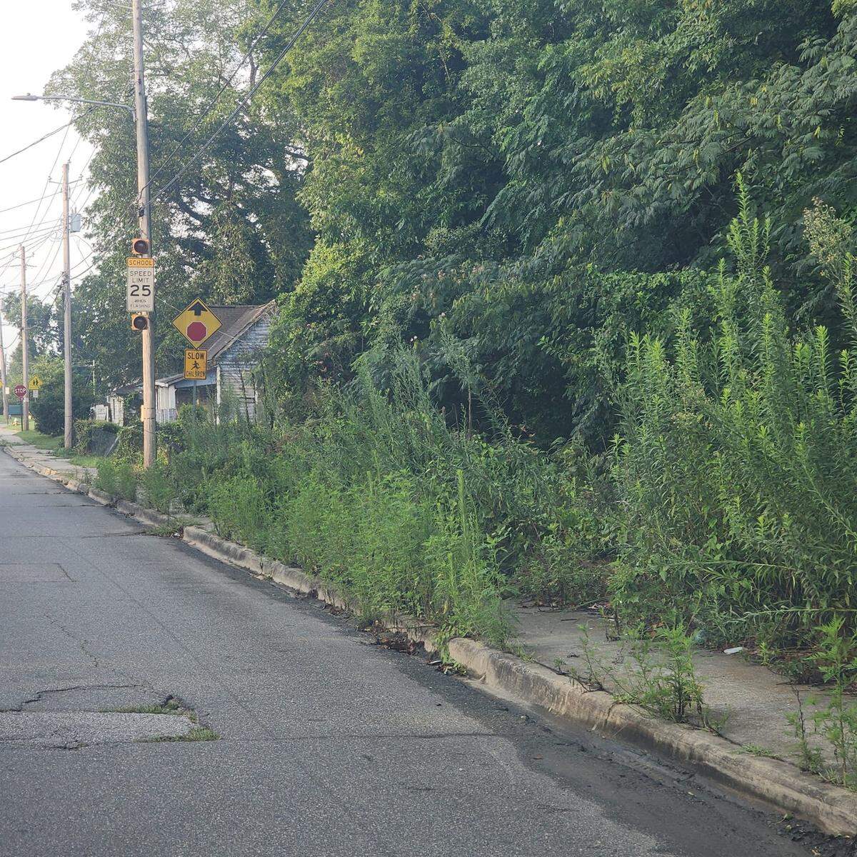 A Burdell-Hunt Magnet Elementary School teacher who has submitted numerous reports regarding overgrown foliage on East Macon sidewalks took pedestrian safety matters into her own hands after city officials failed to respond promptly.