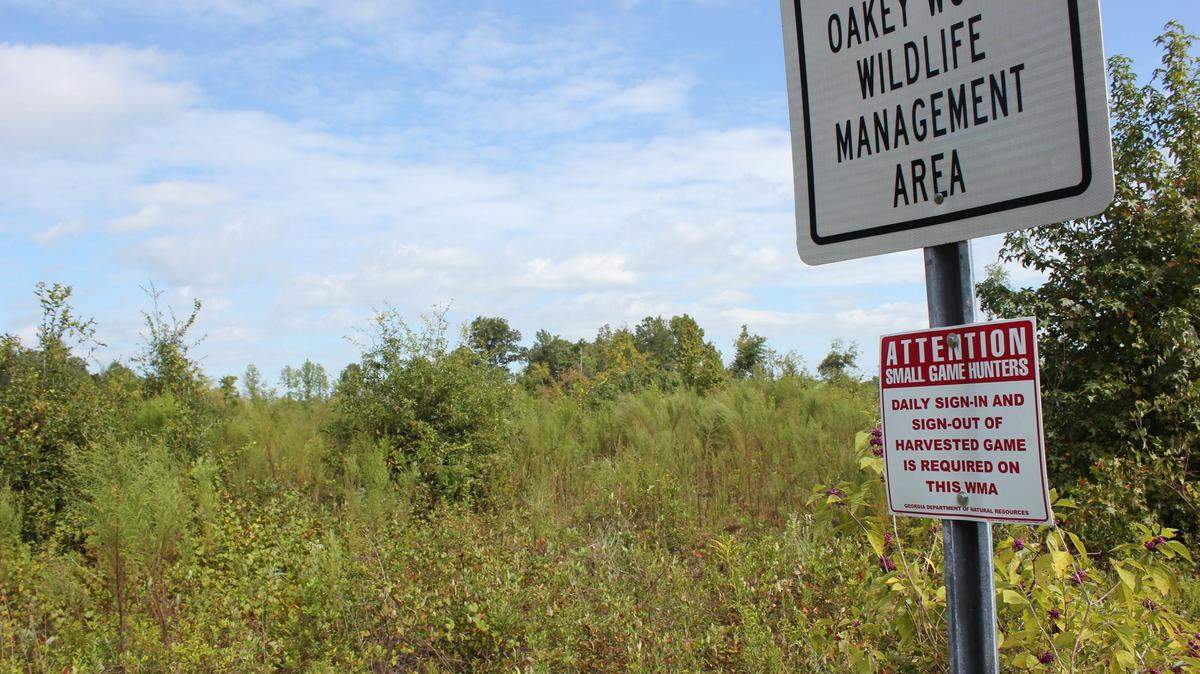 WAYNE CRENSHAW/THE TELEGRAPHThis is part of the 368-acre tract on Houston County’s landfill property that will be planted in pine trees. The forest around the landfill is part of the Oaky Woods Wildlife Management Area.