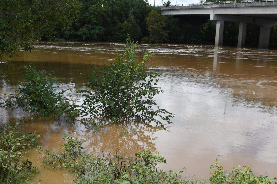 A small shrub on the banks of the Ocmulgee River sits submerged after rainfall from Hurricane Helene on Friday, Sept. 27, 2024, in Macon, Georgia. Macon received between seven and eight inches of rain since Thursday. 