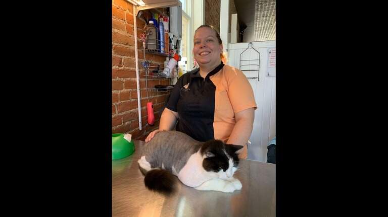 Middle Georgia’s 1st cat-exclusive grooming, boarding facility is opening in Warner Robins