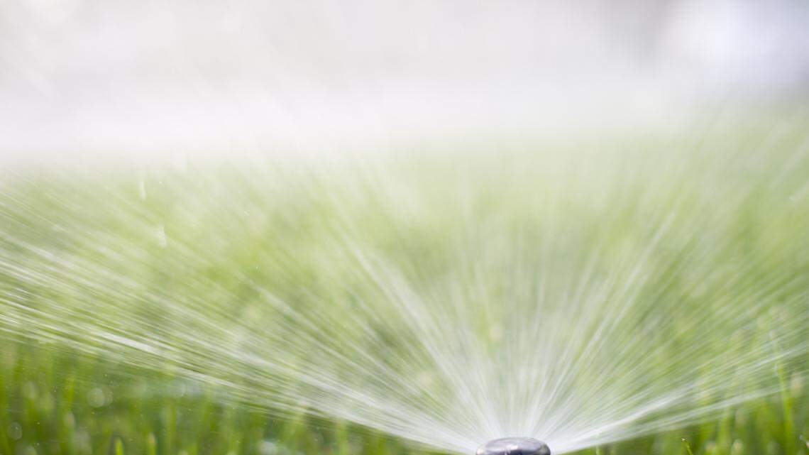 Summer a good time to explore lawn irrigation systems