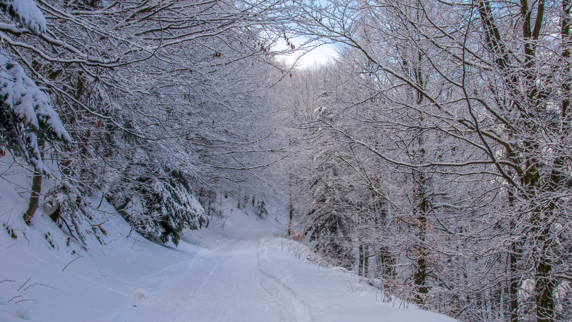 See snow with these live webcams.