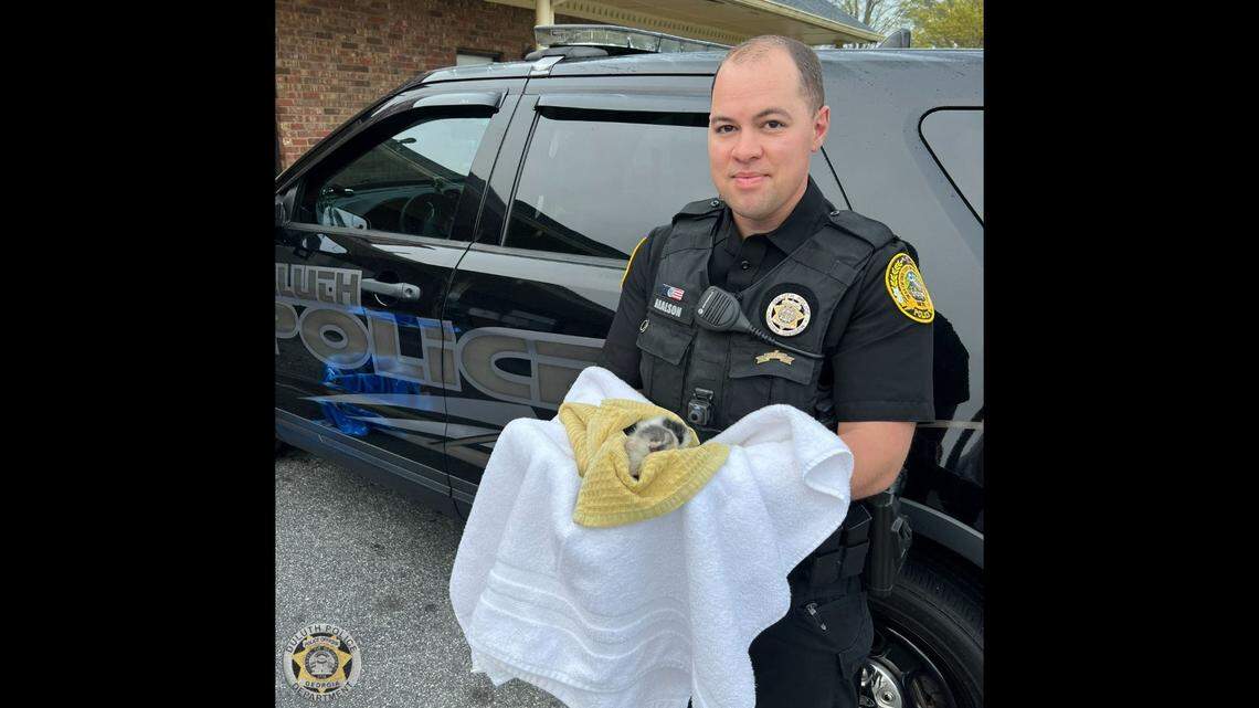 The Duluth Police Department in Georgia picked up the kittens.