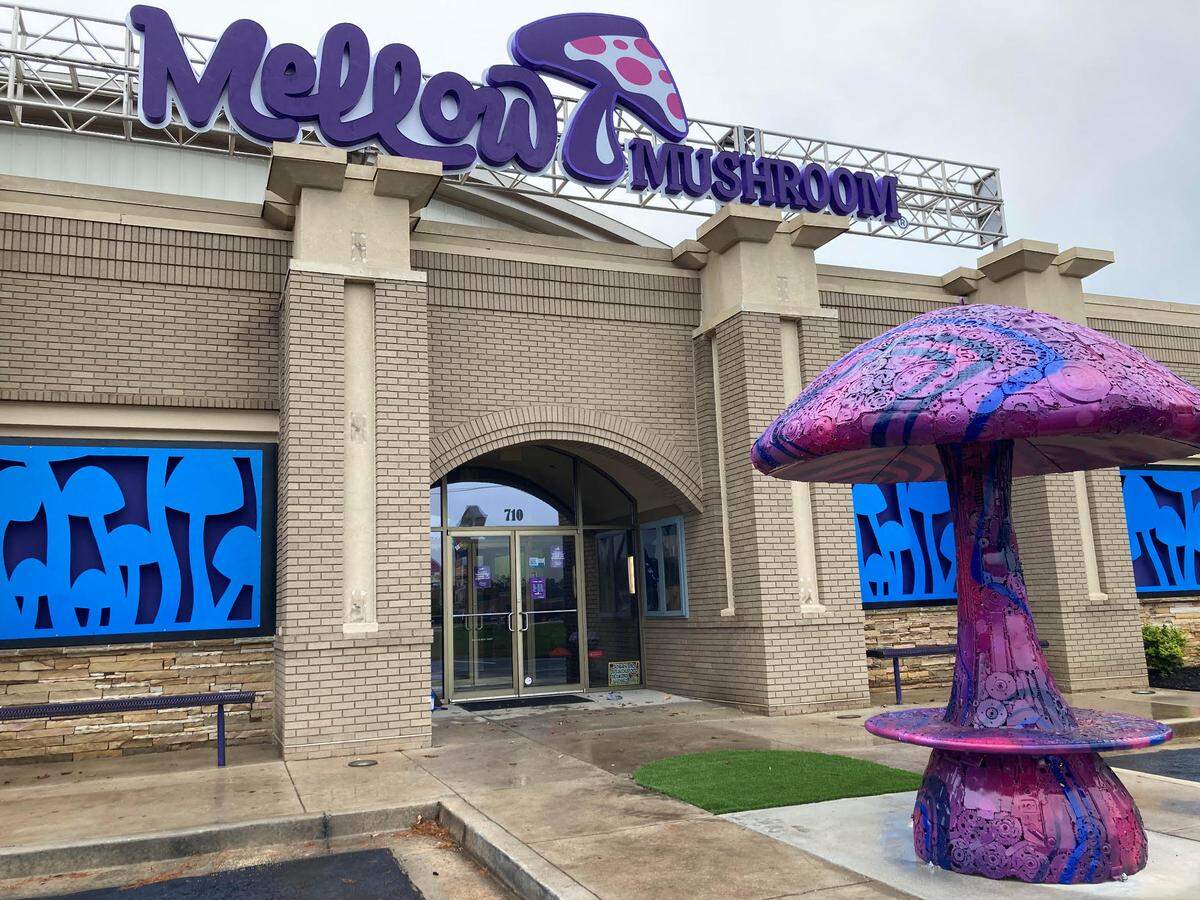 Mellow Mushroom in Warner Robins reopens after a remodel.