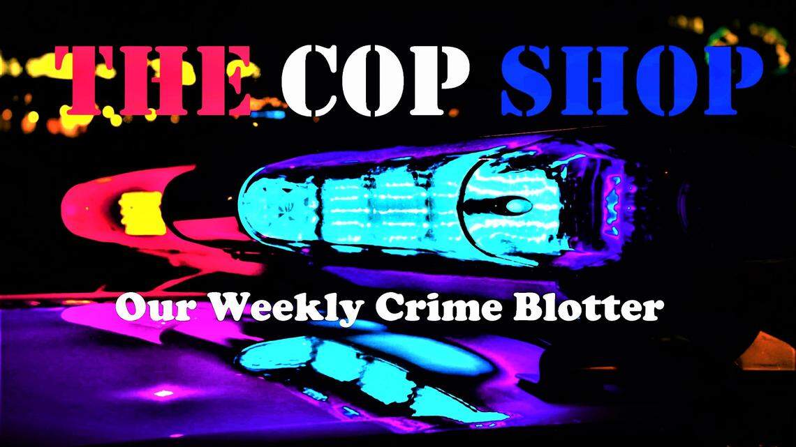 Florida man stopped for speeding tells Georgia cop, ‘I’m not drunk … I’m high as hell’