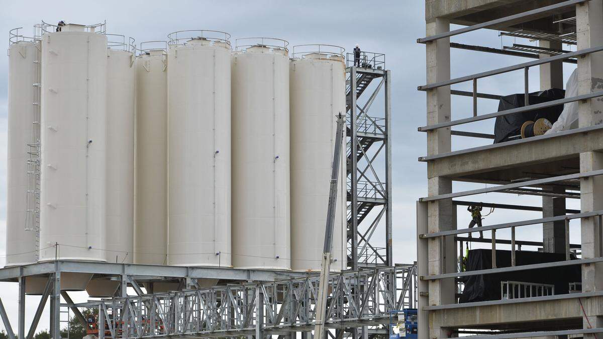 kumho_plant