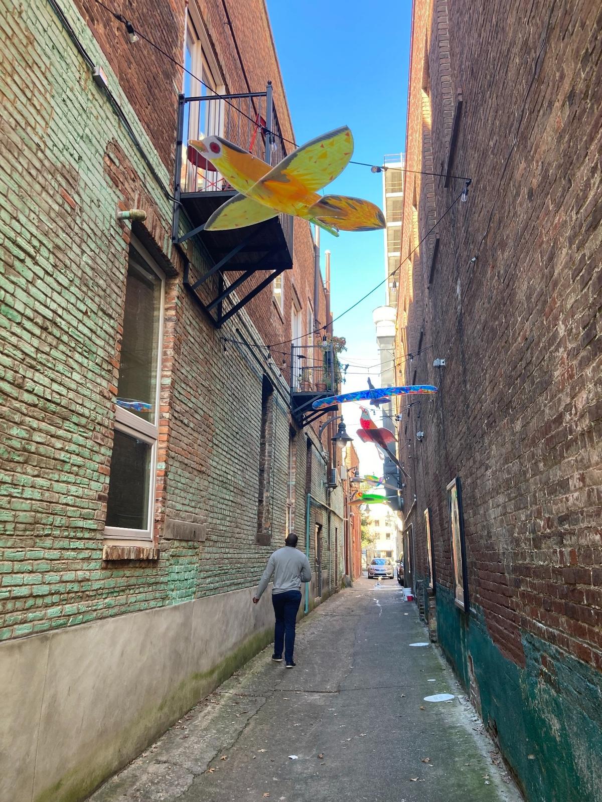Colorful birds are suspended above a nearby alley where Macon-themed photos, which illuminate at night, can be found in this Bright City WILD display.