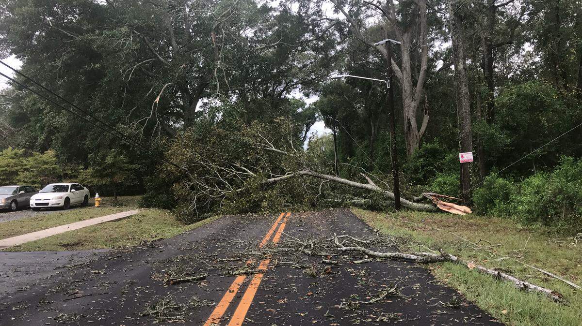 Hurricane Michael causes tree to fall on power lines in Byron.