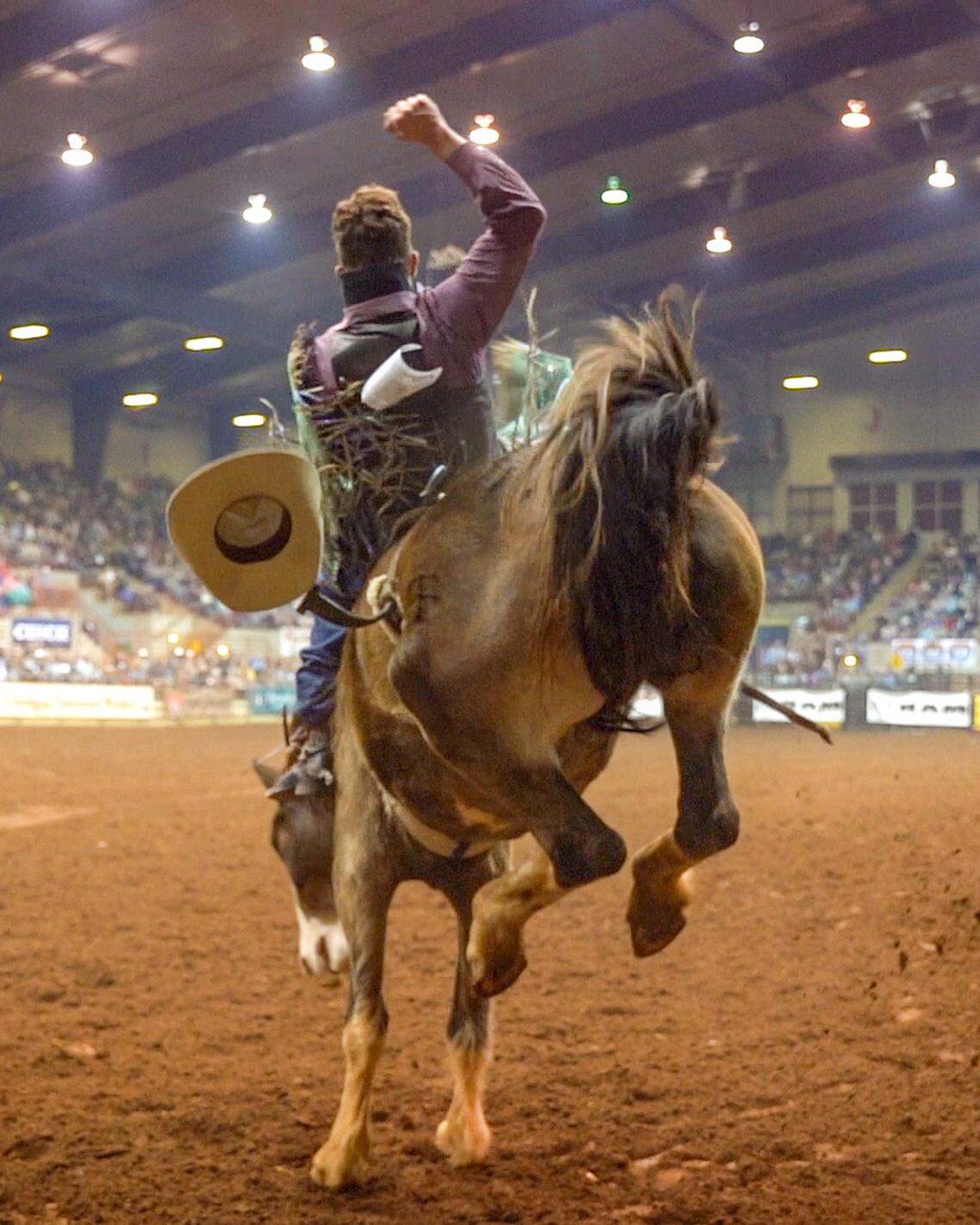 This year’s talent is unmatched. See the cowboys and girls hold on for as long as they can, Feb 23-25.