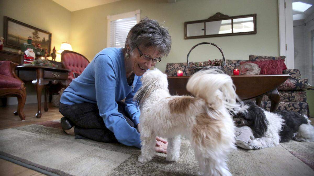 Sue Bohlmann plays with her dogs Gretel, a female papillon/Maltese, and Mateo, a Havanese, at her Minnesota home.