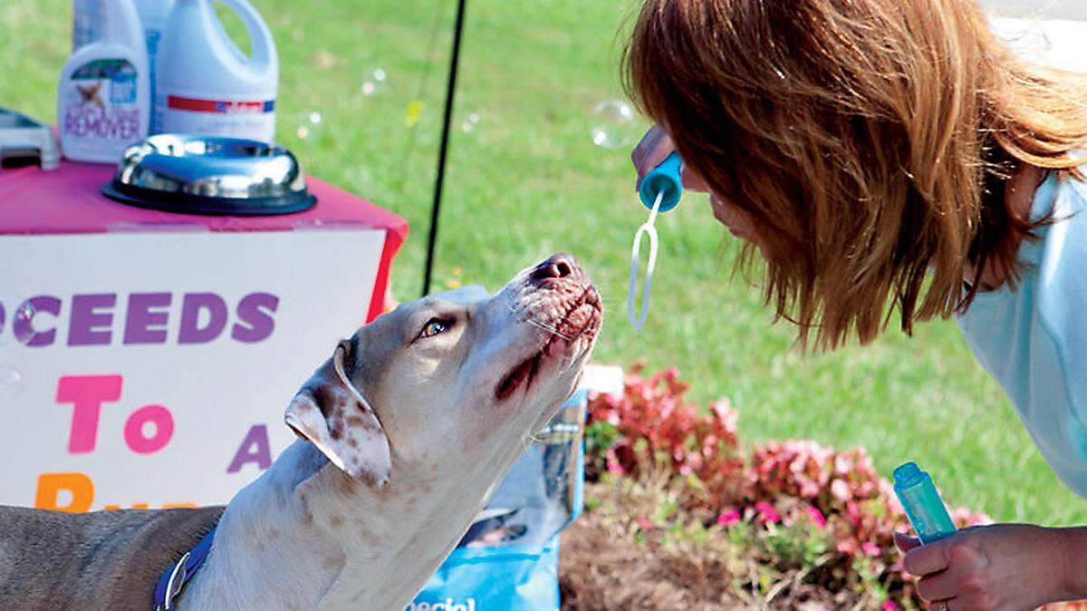 ROBIN GATTI NEWBERN/SPECIAL TO THE TELEGRAPH
AC Pup says springtime is a great time to concentrate on your pet's safety and health.
