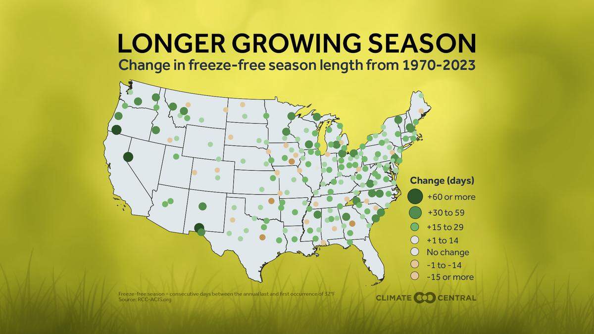 Macon’s allergy season shortened, unlike most U.S. cities.