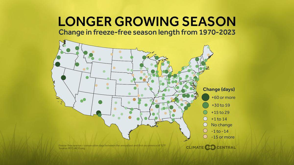 Macon’s allergy season shortened, unlike most U.S. cities.