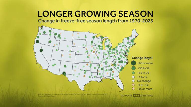 Study finds most U.S. cities have longer allergy, pollen season. Is Macon one of them?