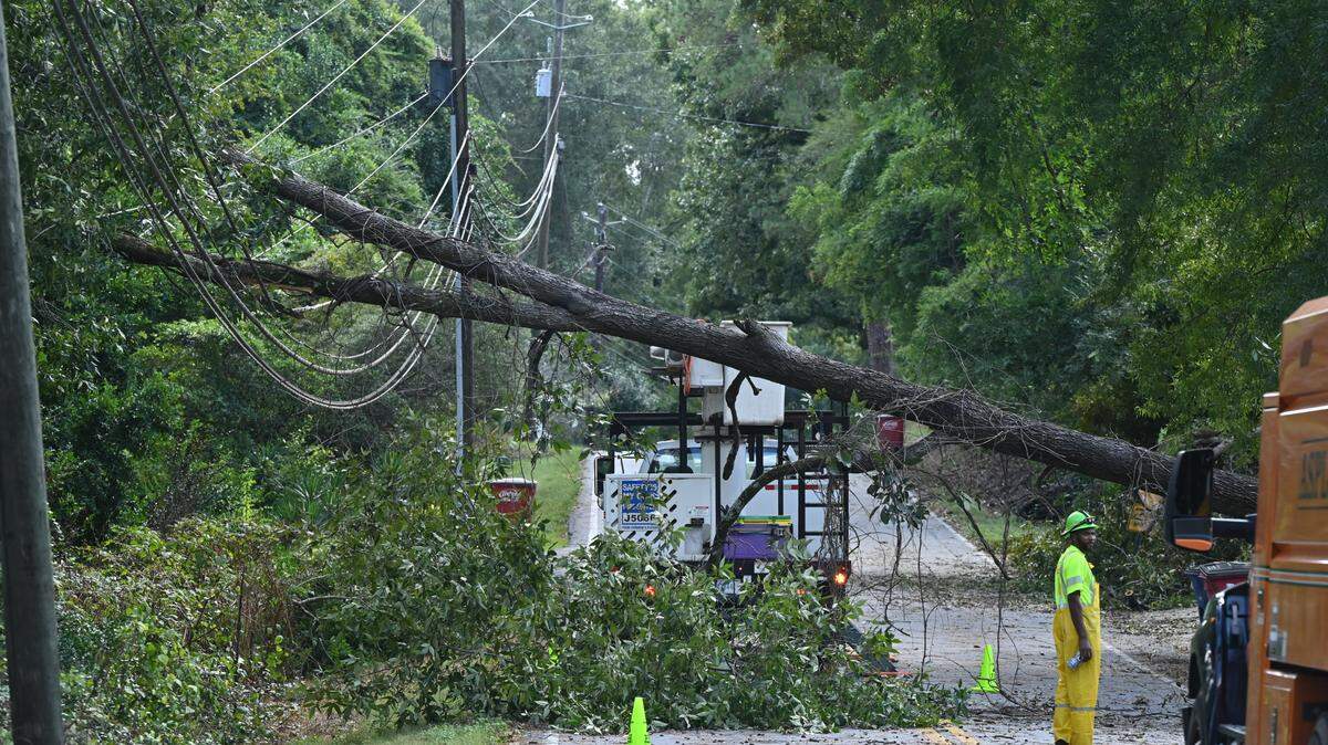 A fallen tree hangs on power lines on Wesleyan Drive after Hurricane Helene on Friday, Sept. 27, 2024, in Macon, Georgia. According to Georgia Power, over 1000 people in the Wesleyan Woods area are without power as of 3 p.m. on Friday.
