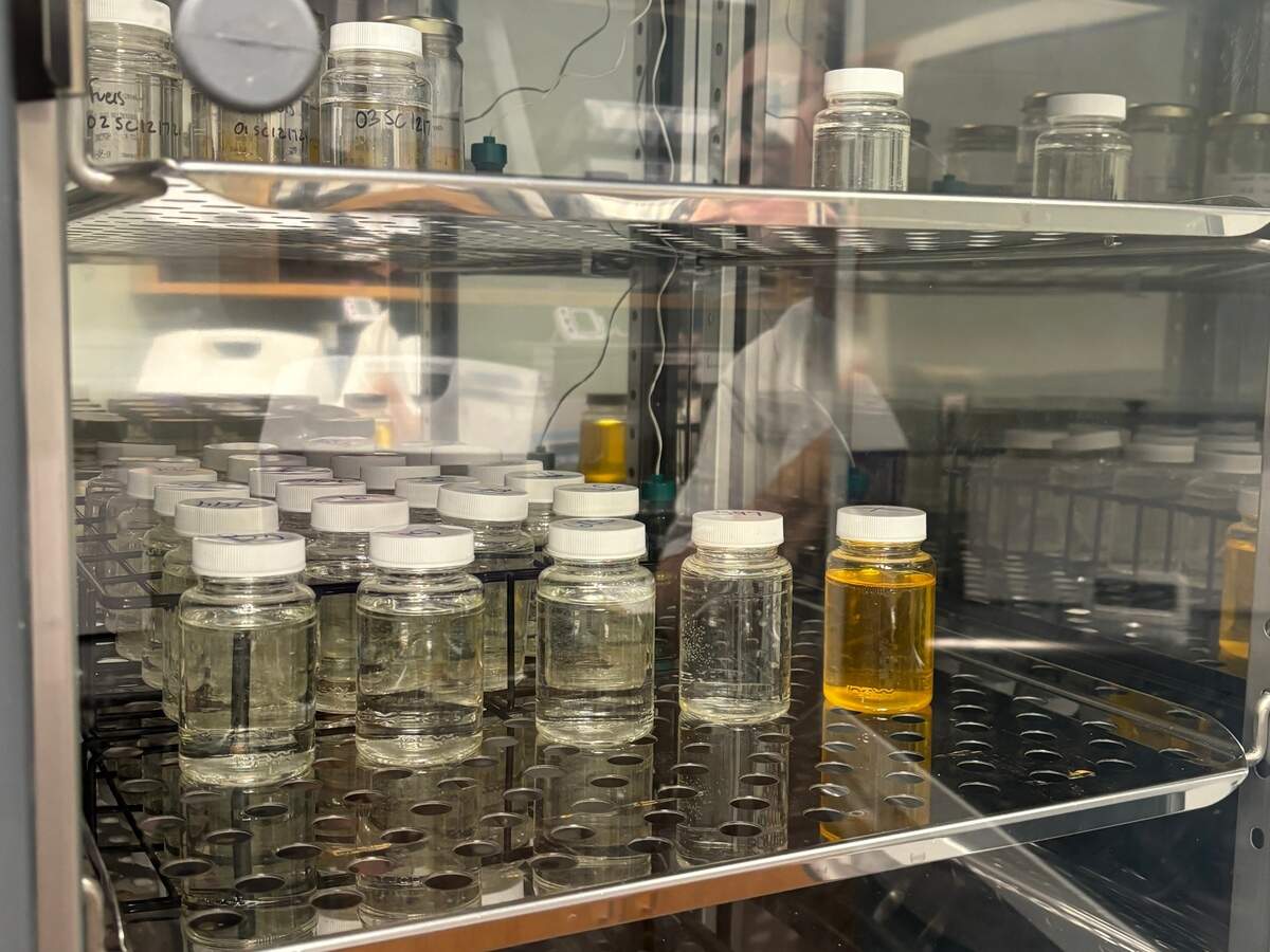 When MWA does their monthly sampling, they’re testing for bacteria, total coliform, ecoli, and the total P.H., which should be 7.4, and chlorine, which should be above 0.2 milligrams per liter.