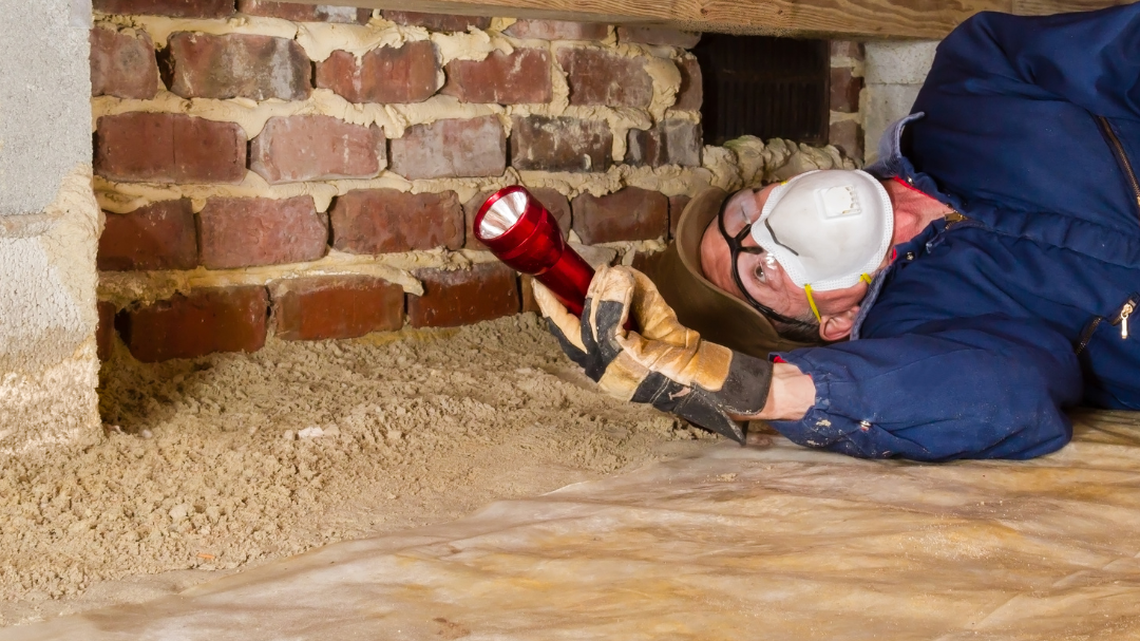 Termites or flying ants? How to tell the difference & keep pests out of your Georgia home.