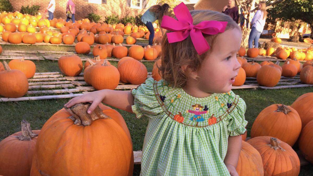 Autumn is around the corner, and columnist Ed Grisamore is banking on it offering a reprieve from the stress of the past six months.