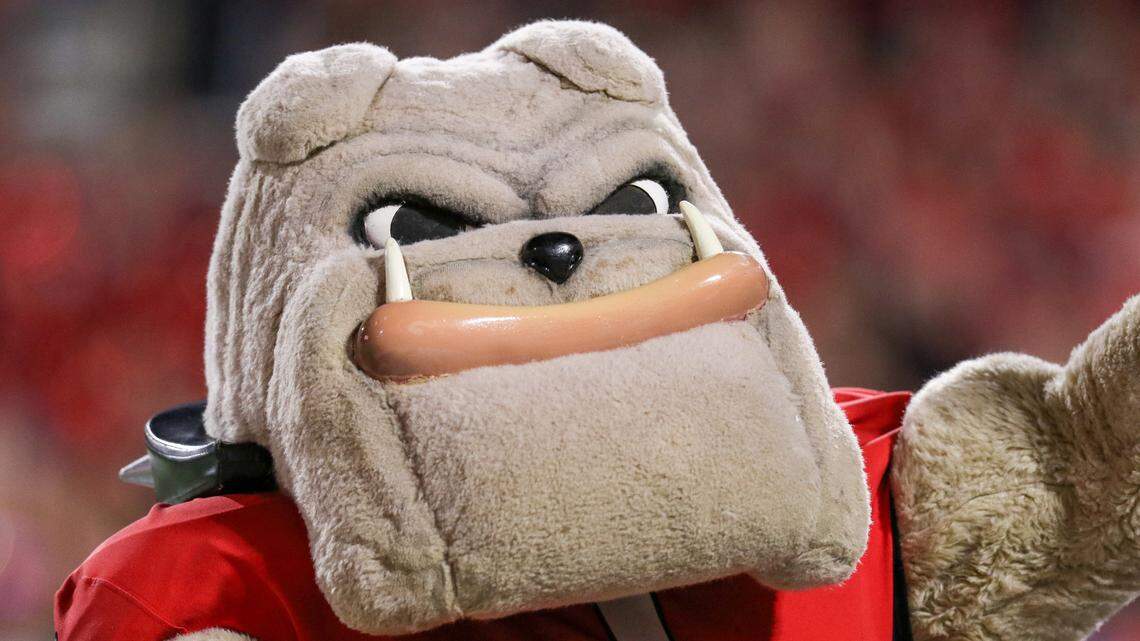 Gameday Guide: UGA vs Mississippi State game details, latest odds, TV and stream info