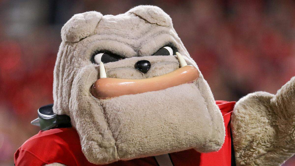 Georgia football