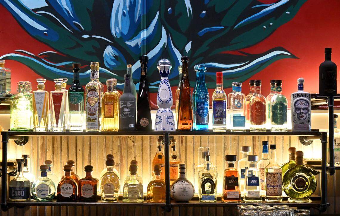 Selection of tequilas and mezcals available at The Daisy Tequila and Margarita Bar located at 158 Cherry St. in downtown Macon.