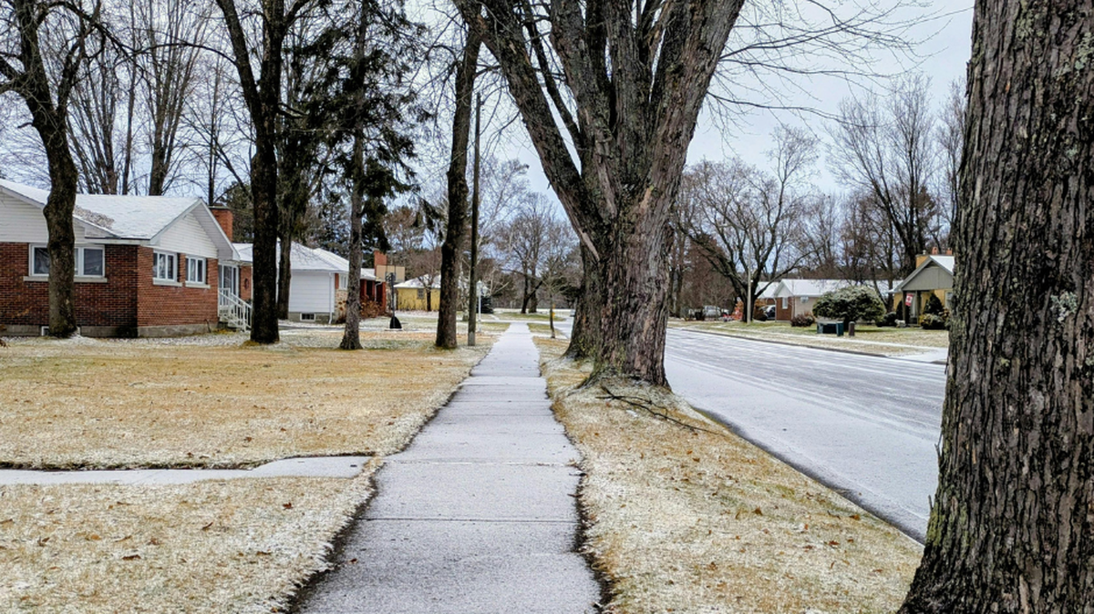 What the law says about tree falling on your property.