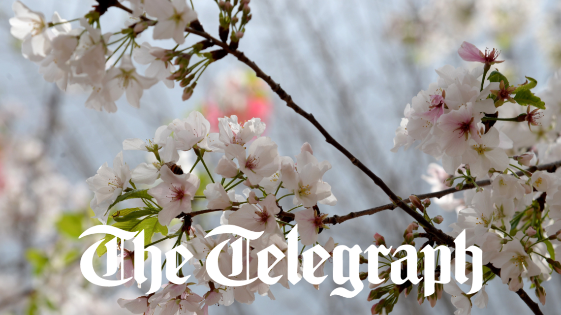 Join the Macon Telegraph for a reader event. Meet our reporters, ask us questions.
