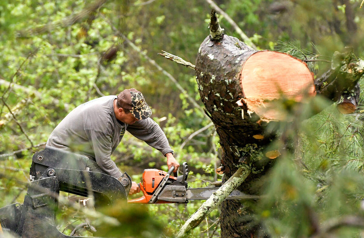 Cleanup begins along Thornwood Drive Wednesday morning after a strong storm barreled through Macon Tuesday afternoon.