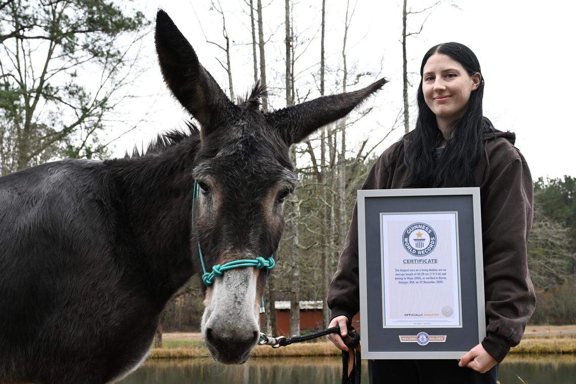 Hannah Frost (right) and Hope pose with their Guinness World Record certificate on Wednesday, Jan. 14, 2026, in Byron, Georgia. Hope holds the Guinness World Record for longest ears on a living donkey and received the award in December 2025. 