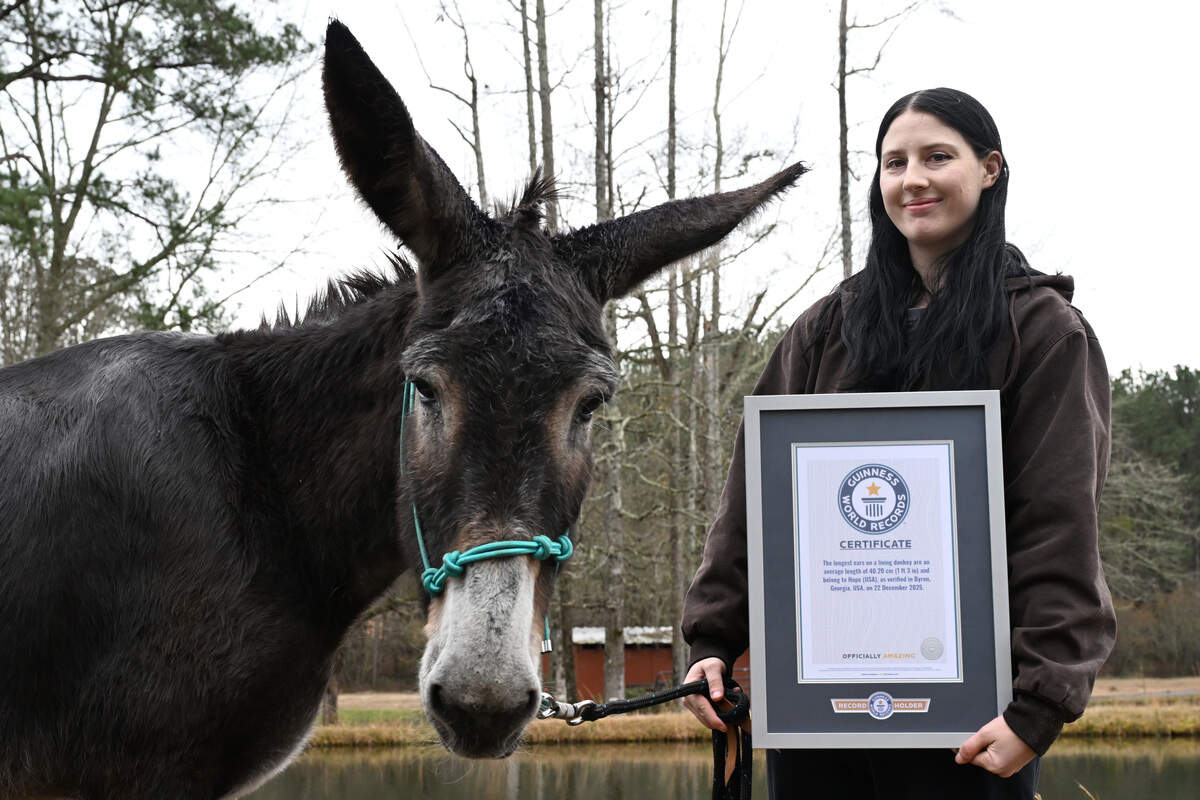 Hannah Frost (right) and Hope pose with their Guinness World Record certificate on Wednesday, Jan. 14, 2026, in Byron, Georgia. Hope holds the Guinness World Record for longest ears on a living donkey and received the award in December 2025.