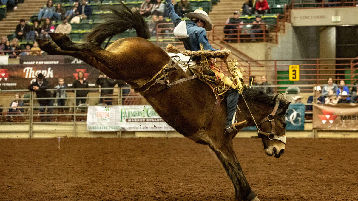 The Georgia National Rodeo is coming to Perry this month. Don’t horse around and miss this event.