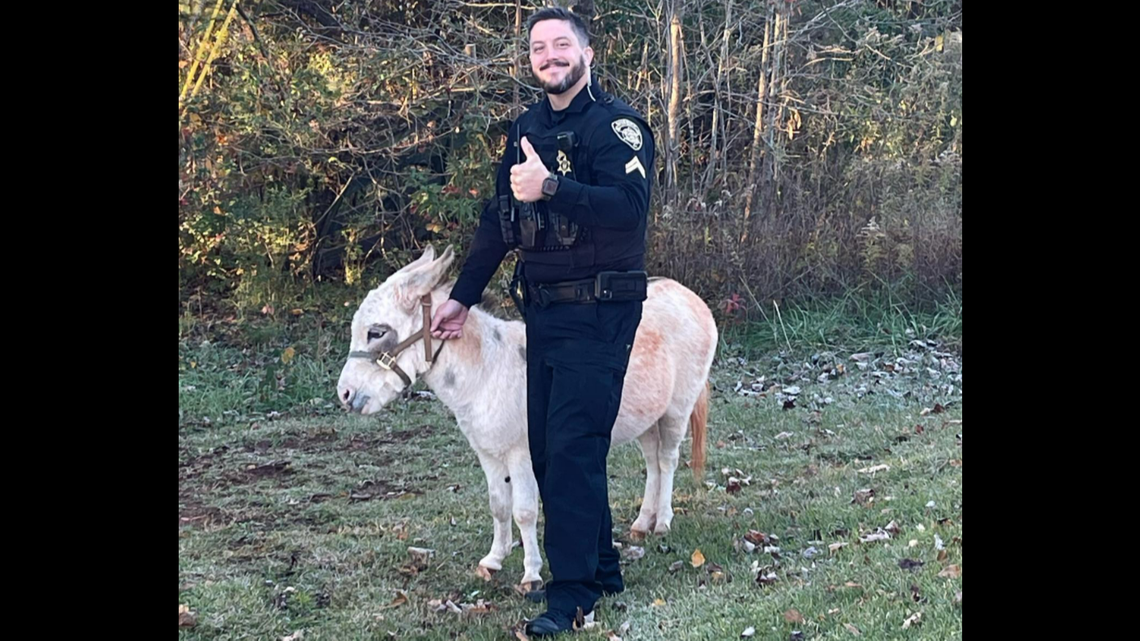 A donkey wearing a mask was captured roaming the streets of Dawson County, Georgia, Sunday, Nov. 14.
