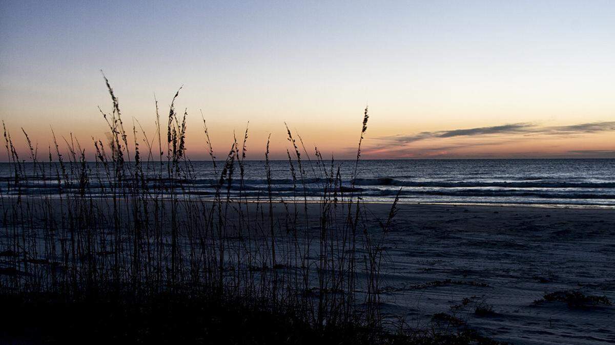Cumberland Island National Seashore encompasses nearly 18 miles of undeveloped beach offering recreation for visitors and essential nesting area for birds and sea turtles.