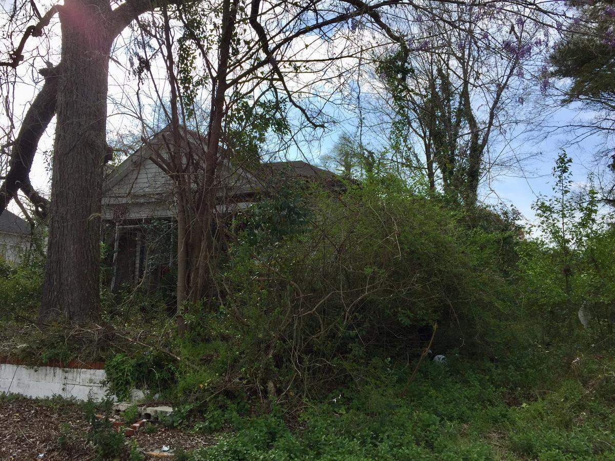 Overgrown shrubs and weeds have overtaken a vacant lot in Pleasant Hill, and the front of the empty house next door.