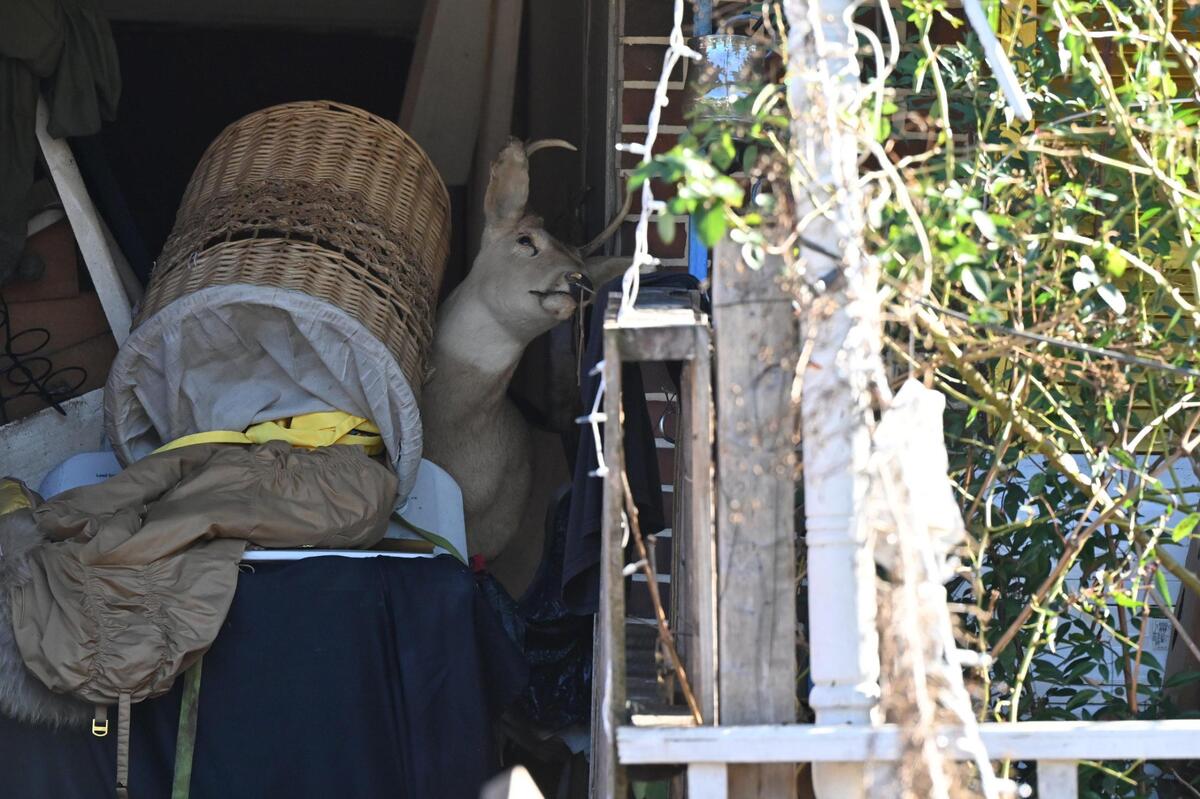 A taxidermy buck sits among other items inside of the open garage at the condemned property on Angus Boulevard on Thursday, Dec. 12, 2024, in Warner Robins, Georgia. The city of Warner Robins has condemned the residential property because of a severe rat infestation on the property. Neighbors say the house has been in disrepair for years.