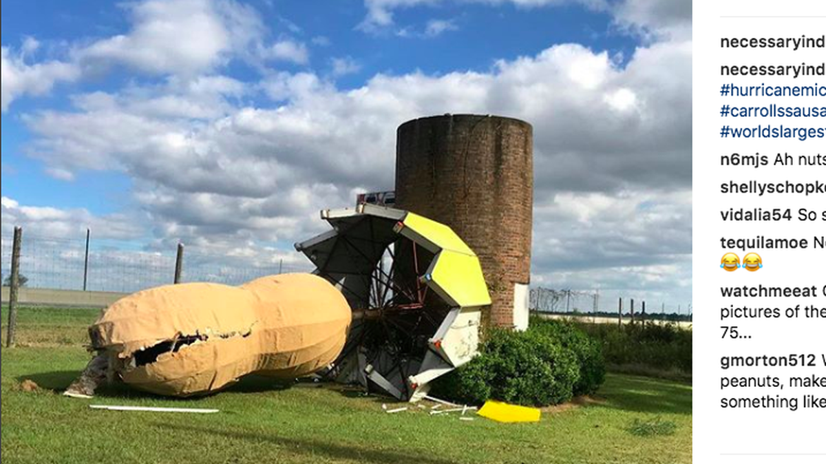 A giant roadside peanut state in rural Ashburn, Georgia., tumbled to the ground after Hurricane Michael, severely damaging it. The statue was a marker for the area’s peanut crop, which was damaged by the storm.