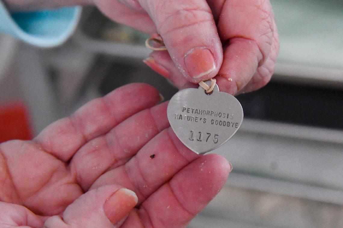 Petamorphosis owner Lynne Petitte holds a charm with a number on Thursday, June 6, 2024, at Petamorphosis in Macon, Georgia. The number is assigned with the remains after Aquamation to distinguish between the different animals and to make sure there is no mix up.