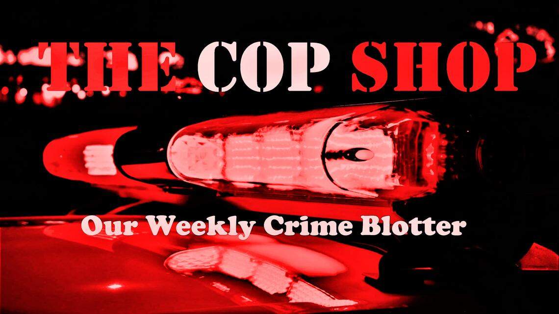 Bullet fired into Macon home shatters window, gets stuck in Bible