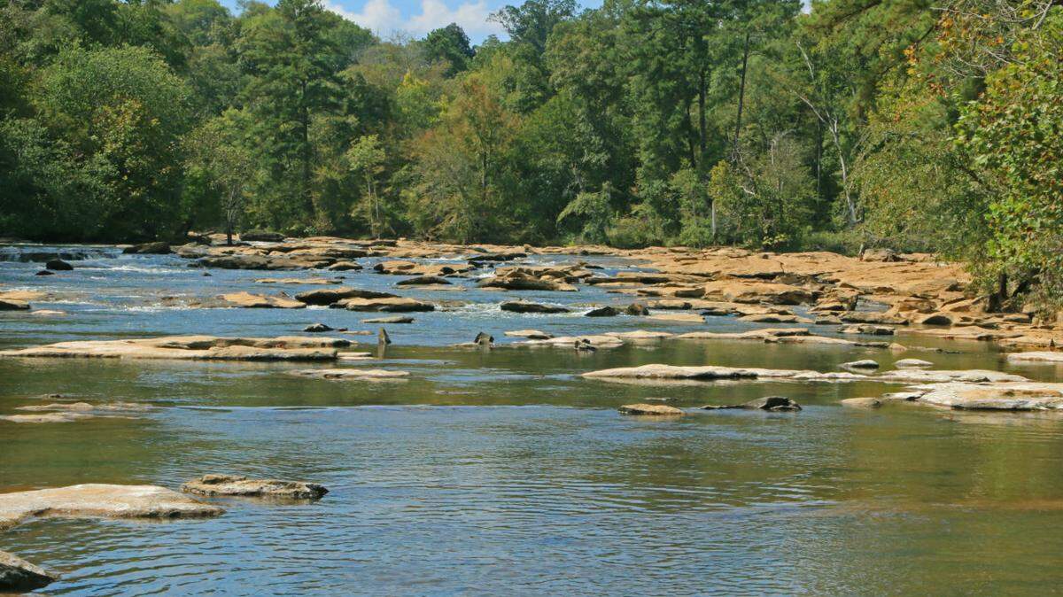 A man drowned in the Ocmulgee River while trying to rescue children Friday, according to the Bibb County Sheriff’s Office .