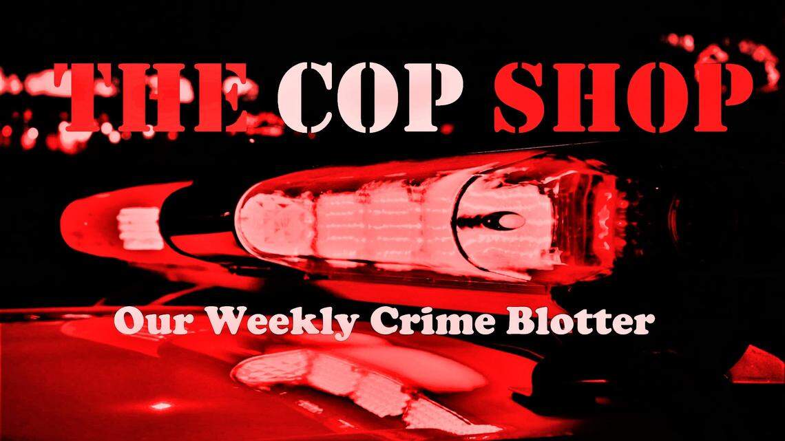 Wackiest cop reports of 2020: Stolen teeth, ruined BBQ and — yikes — a shower snake