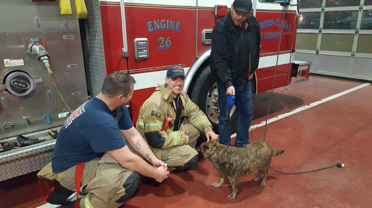 Butch the dog visits with Athens-Clark County Fire and Emergency Services crew members who pulled him from a burning home in Dec. 28, 2017.