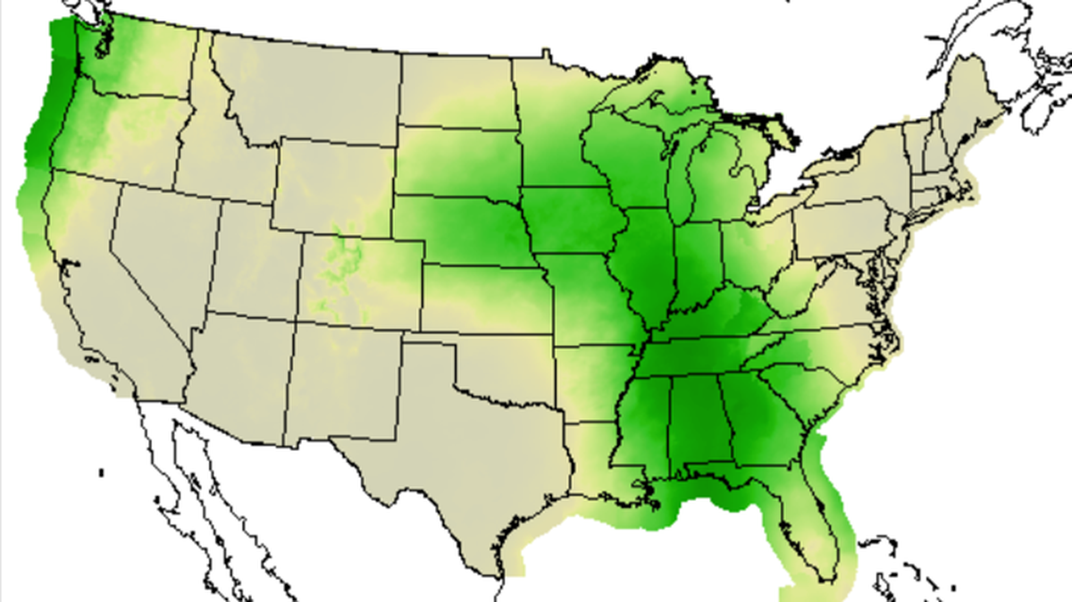 Rain is in the forecast across the region on Christmas Day.