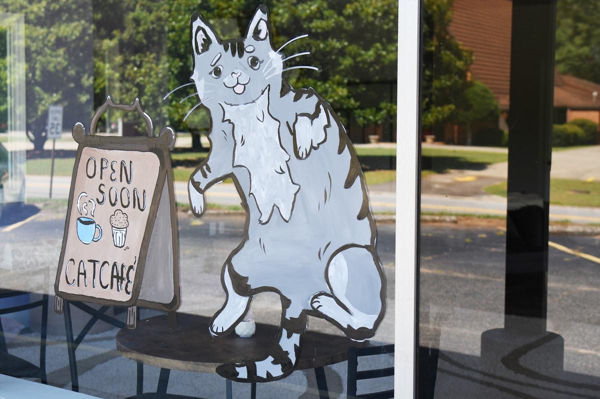 A small painted mural sits on the windows of Paws Awhile Cat Cafe on Thursday, July 11, 2024, in Perry, Georgia. The new cat cafe plans to open this summer and will partner with the Humane Society of Houston County and other rescue groups to have adoptable cats in the cafe.