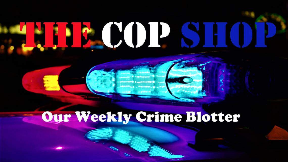 Georgia man’s pet dog finds satchel of meth. Now someone may be going to prison